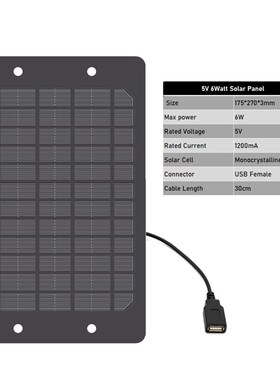 5V 1200mA 6Watt Battery Charger USB port DC 5.5*2.1 Charge R