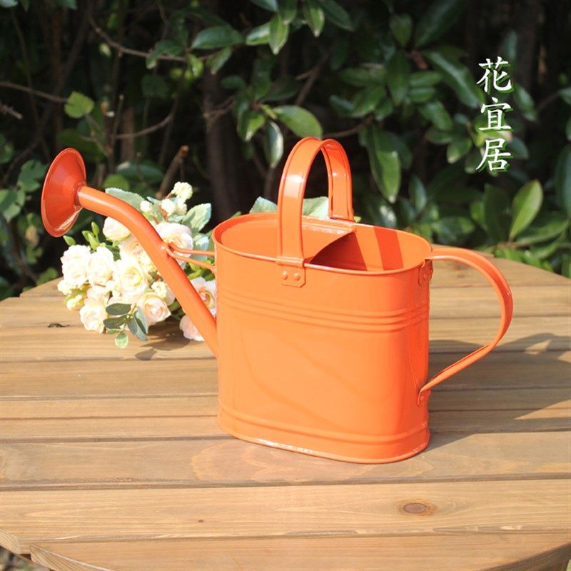 现代简约浇花壶浇菜壶家用铁皮小型洒水壶彩色中号家庭园艺喷壶,淘宝优惠券,粉丝福利购,淘宝优惠卷