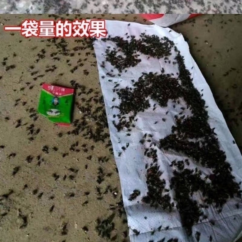 极速养殖场灭蝇药长效户外家用强力灭苍蝇神器一闻死鸡牌蝇子药灭 - 图2