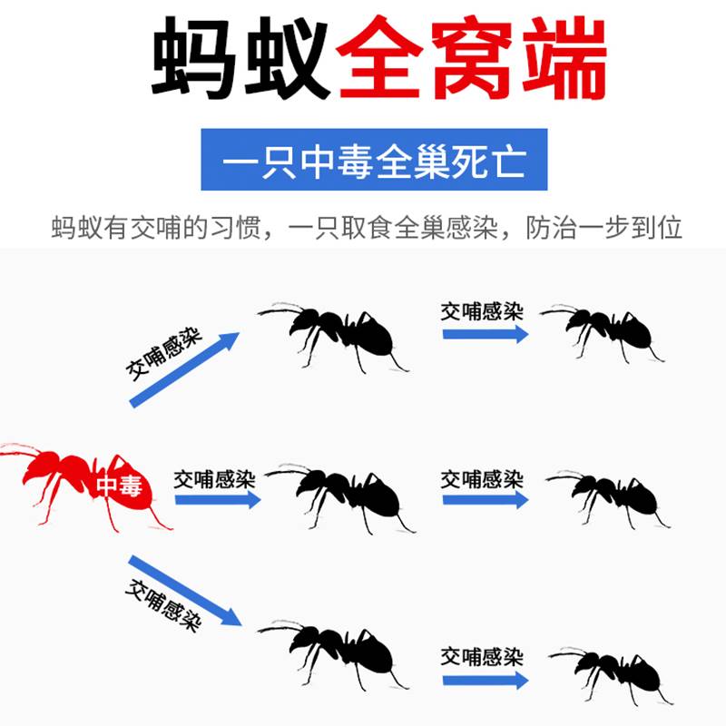 现货速发郁康蚂蚁药一窝全窝端家用室内驱杀除蚂蚁的药非无毒灭蚁 - 图3