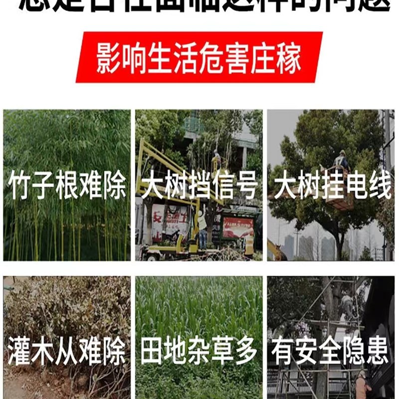 腐力除树剂灭树j一针灵杀树烂根强三剂枯树根专用药蚀滴大树死绝 - 图2