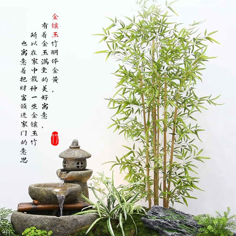 加密仿真竹子绿植假竹子造景隔断挡墙G屏风篱笆人造仿真竹盆栽装 - 图2