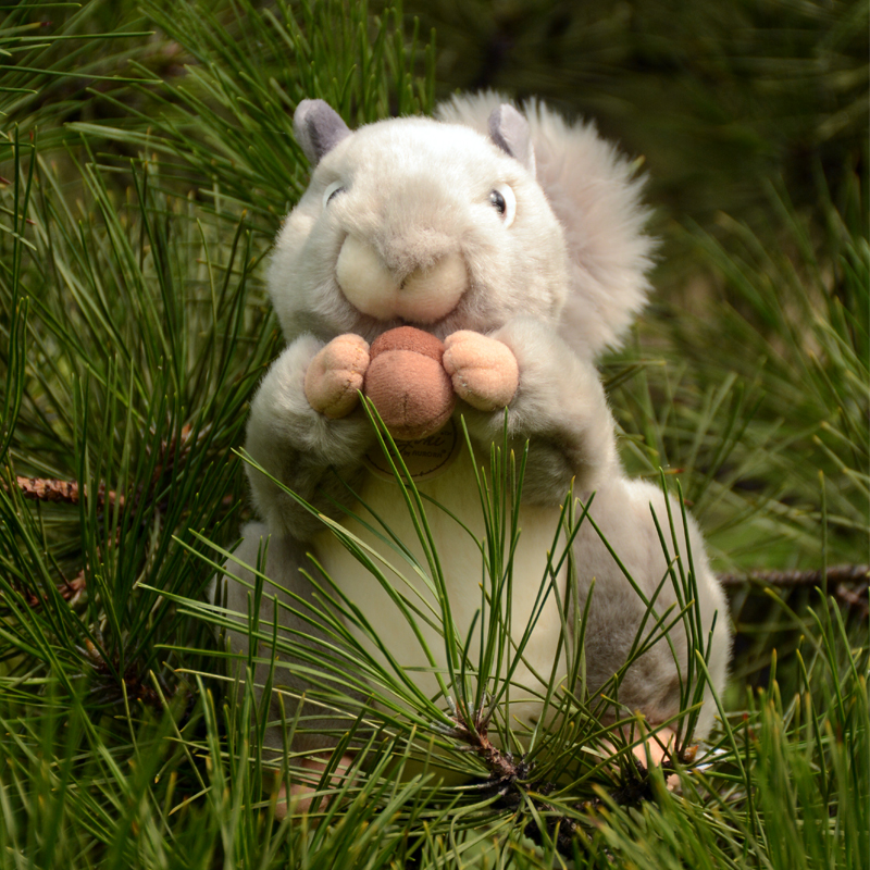 正版AURORA松鼠毛绒玩具可爱仿真灰松鼠公仔玩偶布娃娃送儿童礼物 - 图1