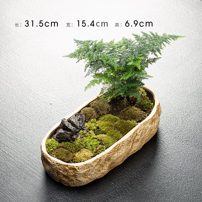 各种花盆创意铜钱草水培多肉植物有无孔装N饰盆栽 多样花盆摆件