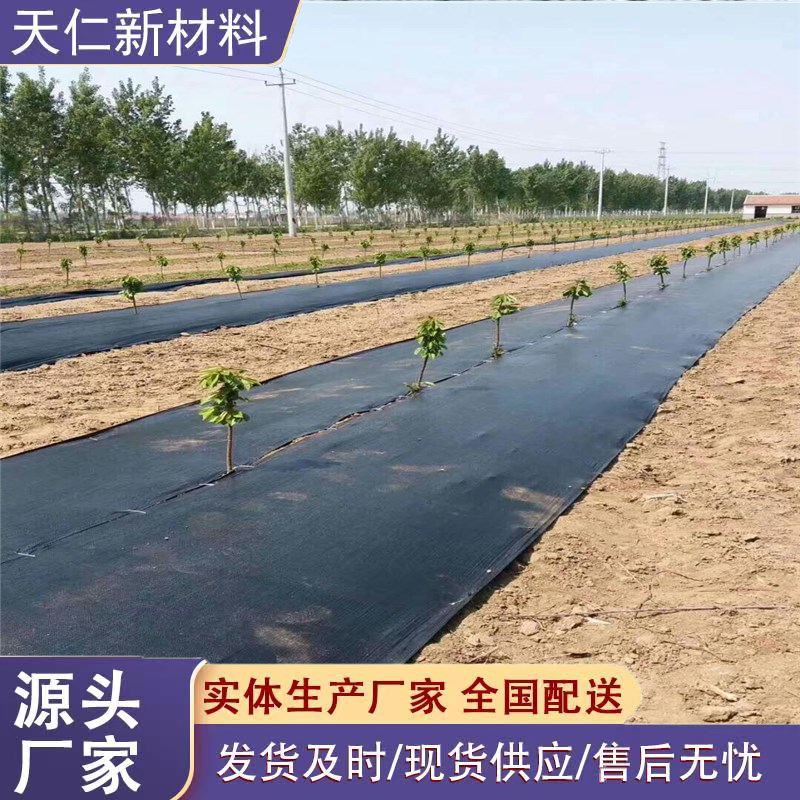 防草布农用园艺地膜抗老化透气保湿可浇灌遮草抑草布全新料除草布 - 图0