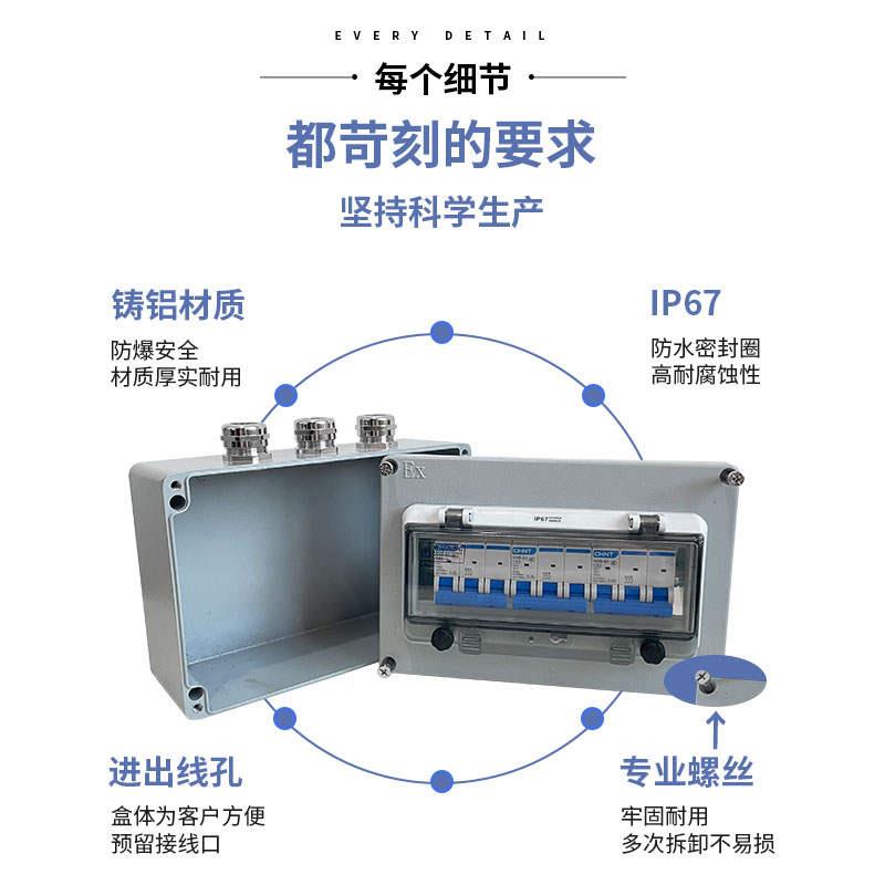 防爆箱气开漏盒防水n专用电箱空开空三相关电断路器配电箱开关空 - 图2