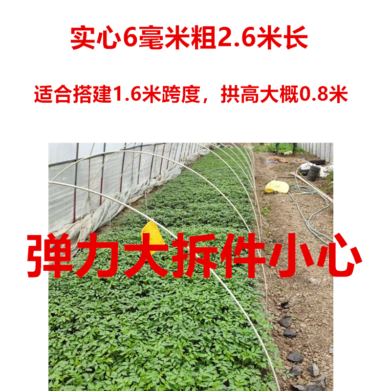 支骨缩杆棒大棚塑料农s用实高玻璃纤维耐心温棚伸架蔬菜养殖 - 图3