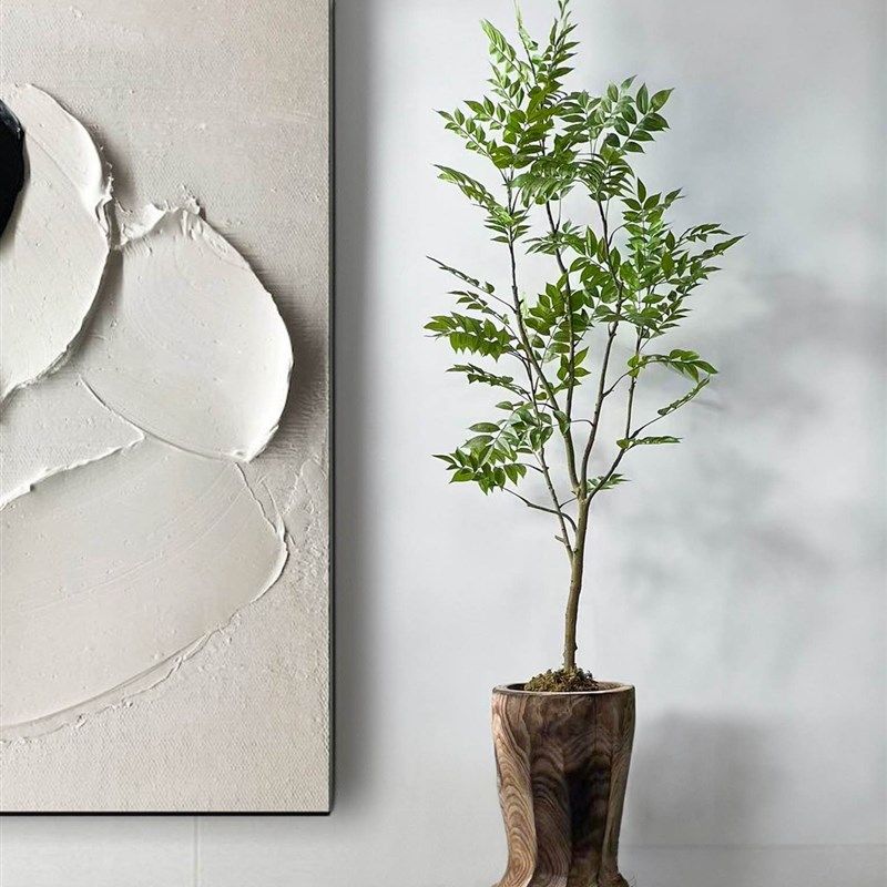 侘寂风绿植落地花器整挖实木桶民宿茶室造景植物装饰品摆件大花瓶,淘宝优惠券,粉丝福利购,淘宝优惠卷