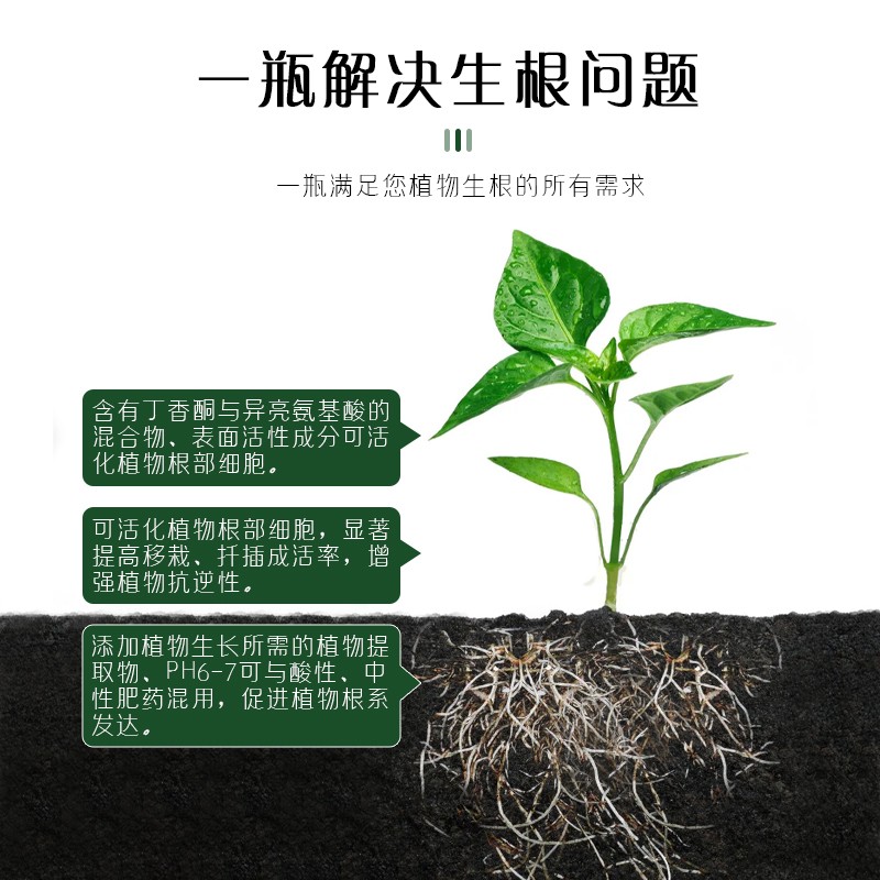 极速植物通用生根粉树木壮苗生根剂扦插移栽多肉营养液快速生根液 - 图2