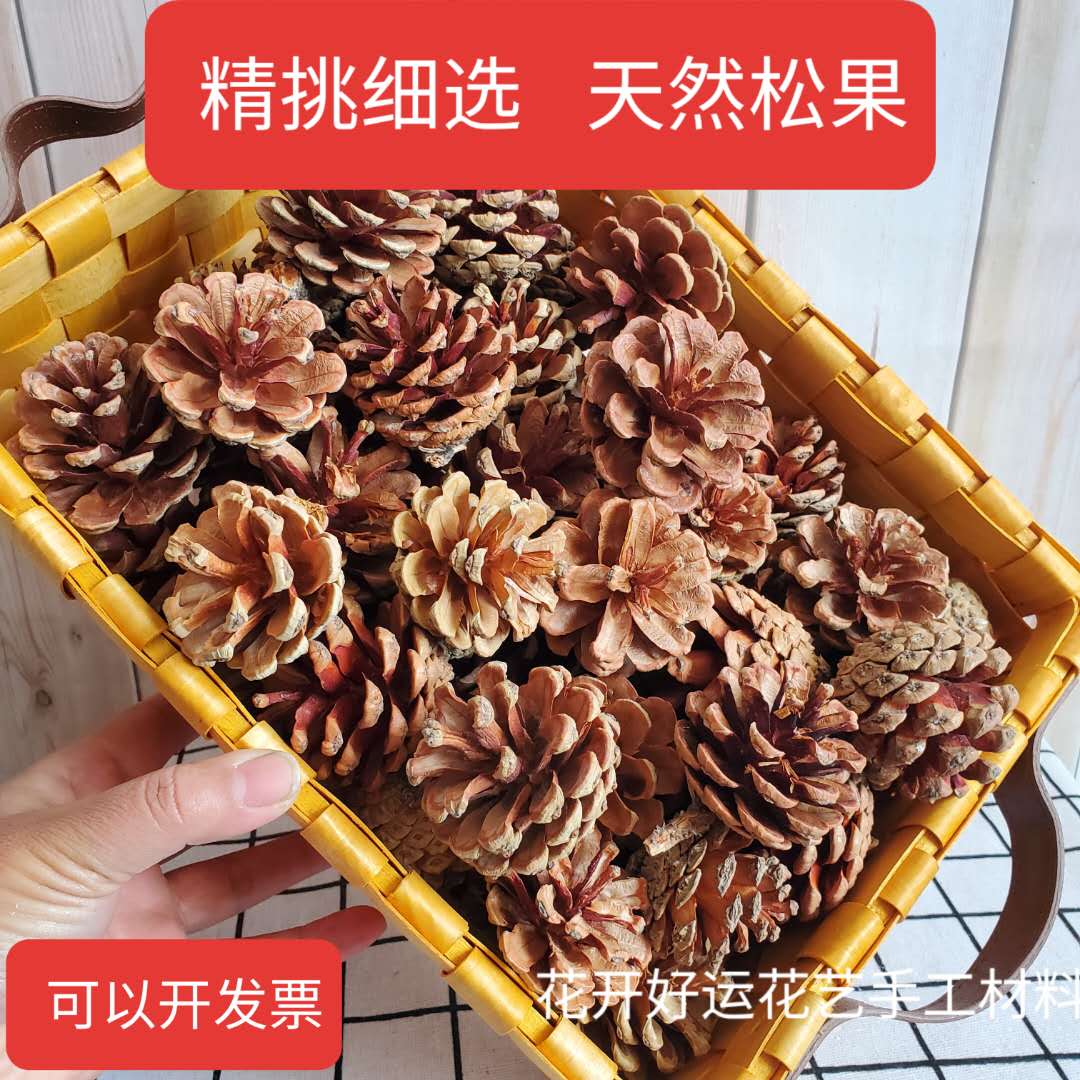 手工制作材料创意diy天然摆件松果松塔套装P干花包果实装饰干树枝 - 图3