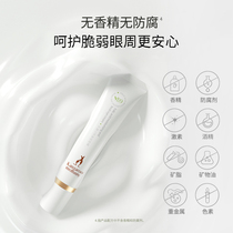 Kangaroo mom folic acid Qinyan fresh face cream dense water replenishing moisturizing nourishing eye corner fine print Pregnant Woman Skincare