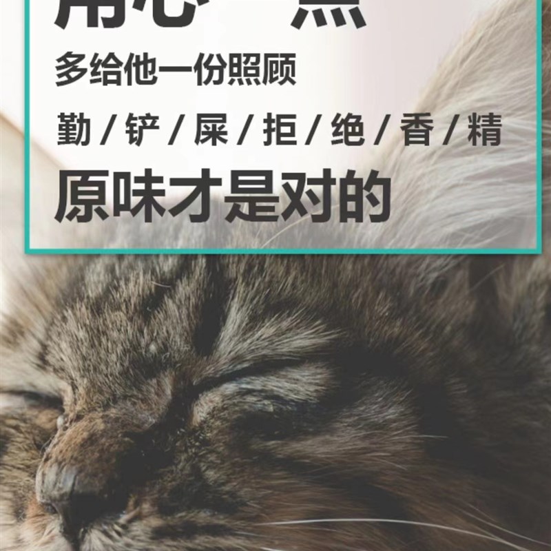 膨润土猫砂原味10公斤除臭无尘快速结团不粘底20斤大包装猫土包邮 - 图1