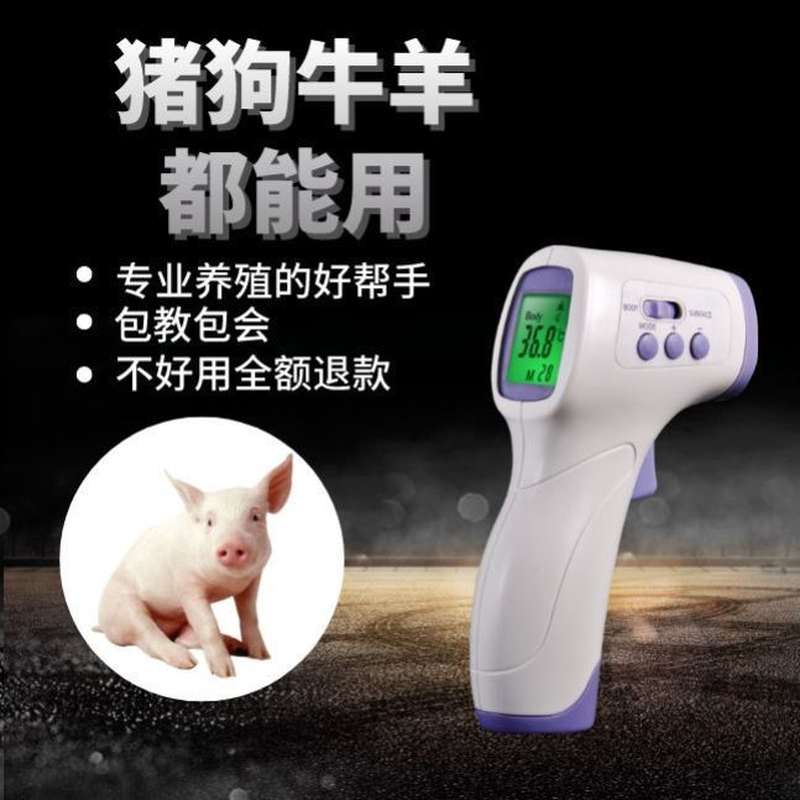 急速发货猪用宠物猫狗兽用体温枪体温表高精度猫咪测量仪宠物狗温 - 图2