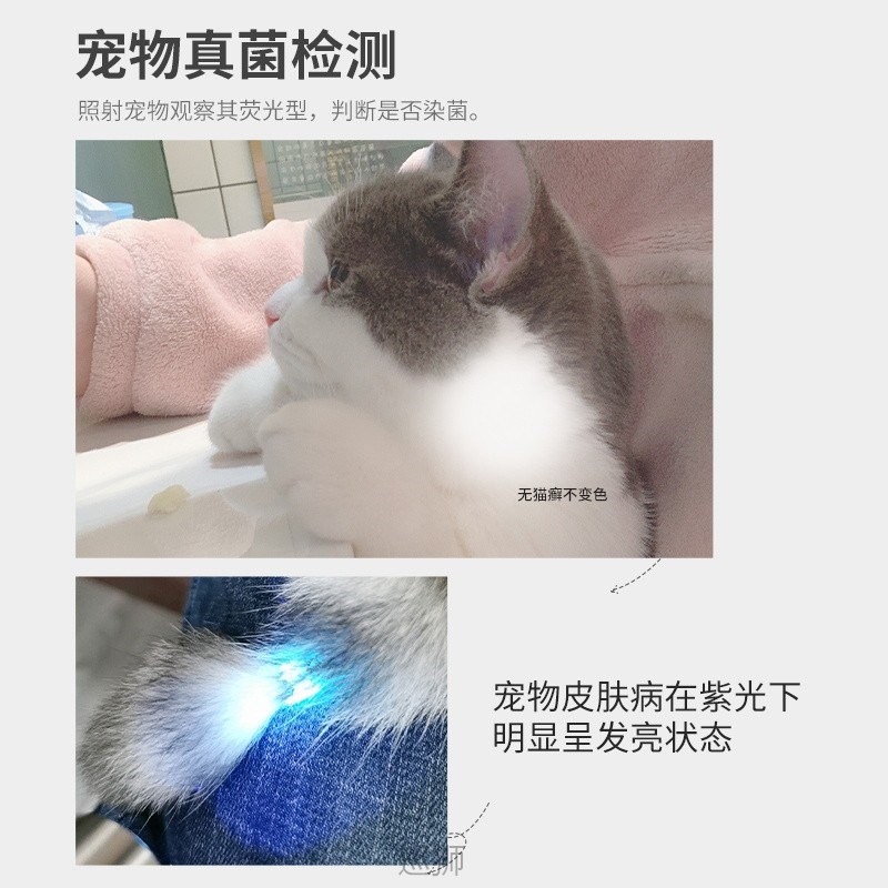 Wood's lamp for  moss pet fungus detection UV cash detect - 图3