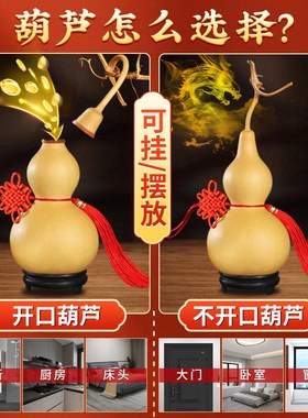 葫芦摆件天然客厅招财挂件特大开口真葫芦中国吉祥结汽车玄关龙头