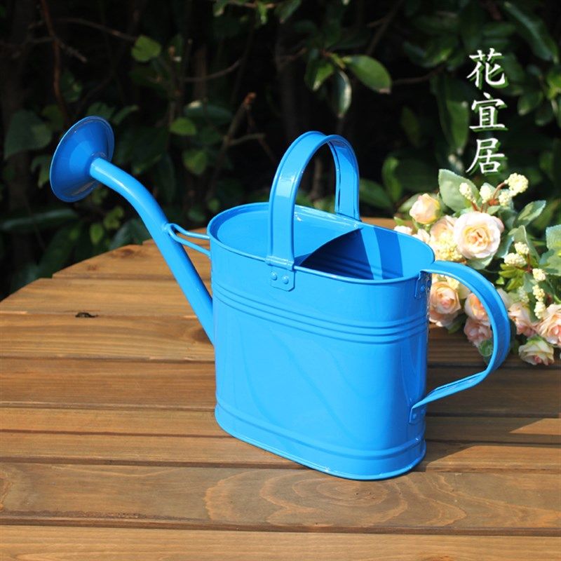 现代简约浇花壶浇菜壶家用铁皮小型洒水壶彩色中号家庭园艺喷壶,淘宝优惠券,粉丝福利购,淘宝优惠卷