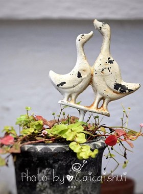 小鸭花插。英式乡村农场铸铁花园装饰插件盆栽饰品铁艺户外摆件