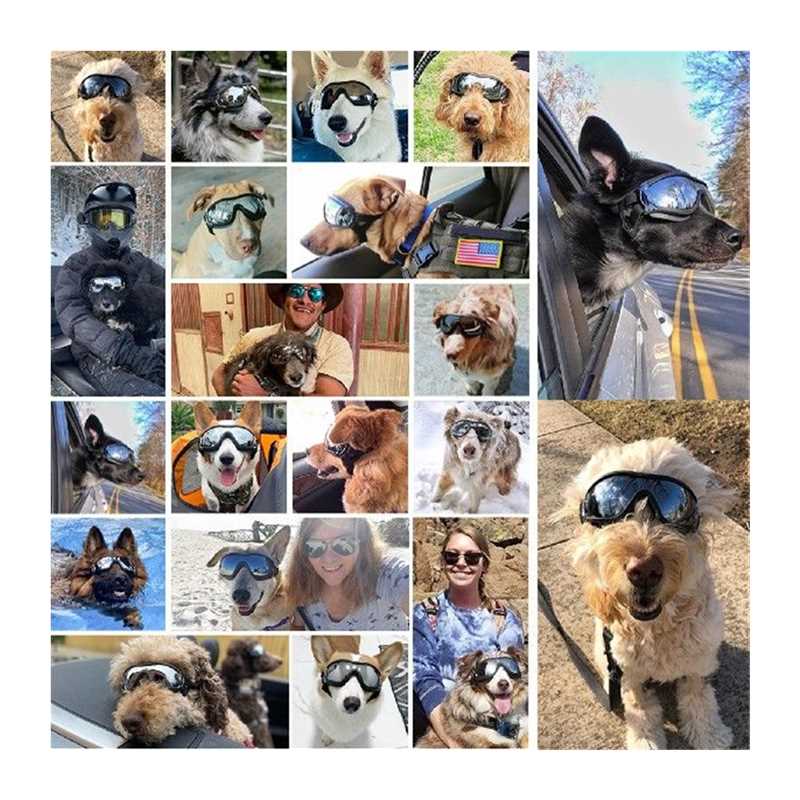 推荐Dog Glasses Medium And Large Dog Pet Sunglasses Windproo - 图3