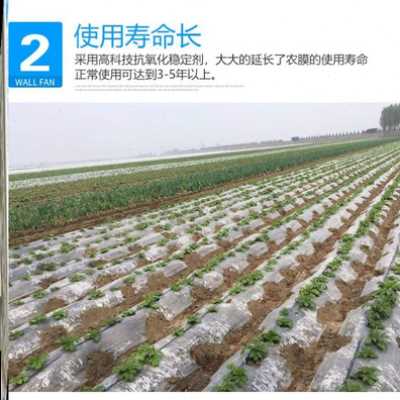 新品布塑纸e料农膜地膜明加大厚棚膜养殖膜L农用防草塑料 - 图0