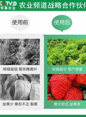 甲壳素海藻鱼蛋白冲施肥果树草莓柑橘生根膨果有机水溶肥桶装肥料