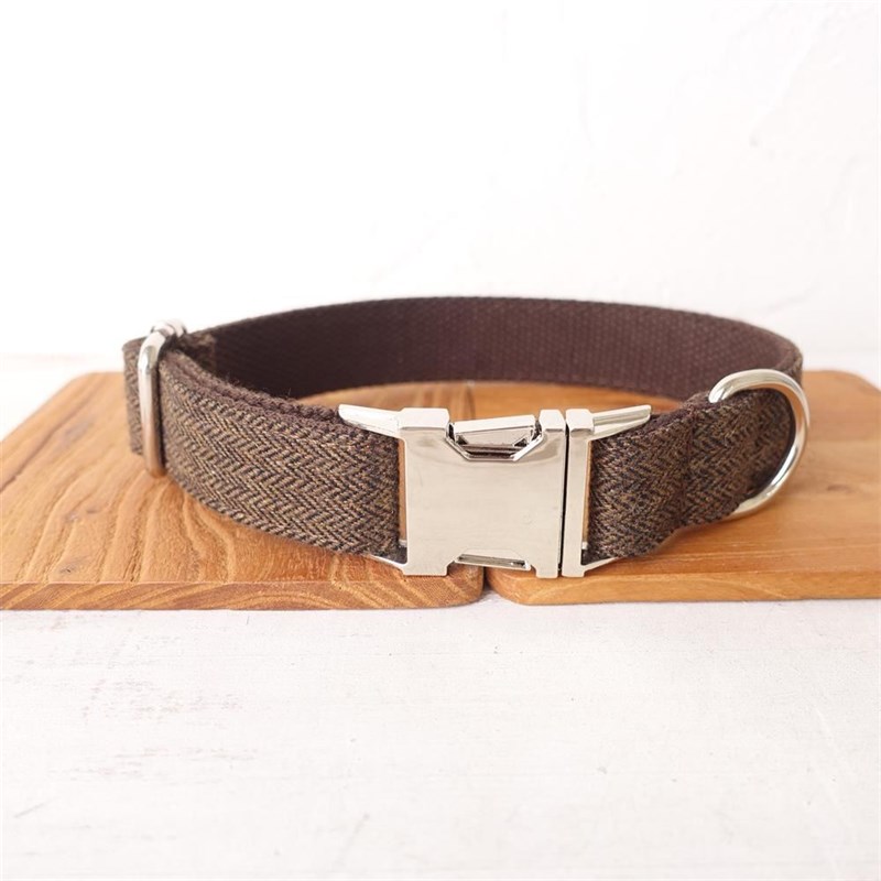 速发Personalized Dog Collar Customized Pet Collars Free Engr - 图0