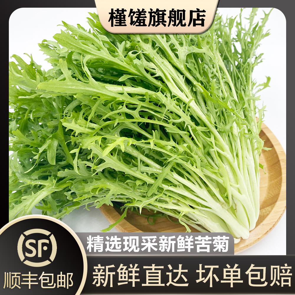 【槿馐】苦细叶半斤-5斤新v鲜苦叶生菜蔬菜苦菊沙拉食材狗牙菜苦 - 图0