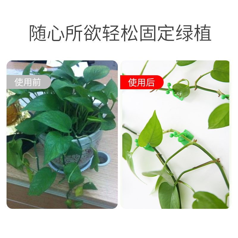 绿萝爬墙上花神器绿植固定器绿箩家用无痕卡扣绿枝爬藤杆夹子挂钩-图2