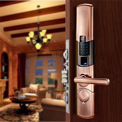 Buy Free Shipping Smart Villa Interior Door Lock Fingerprint