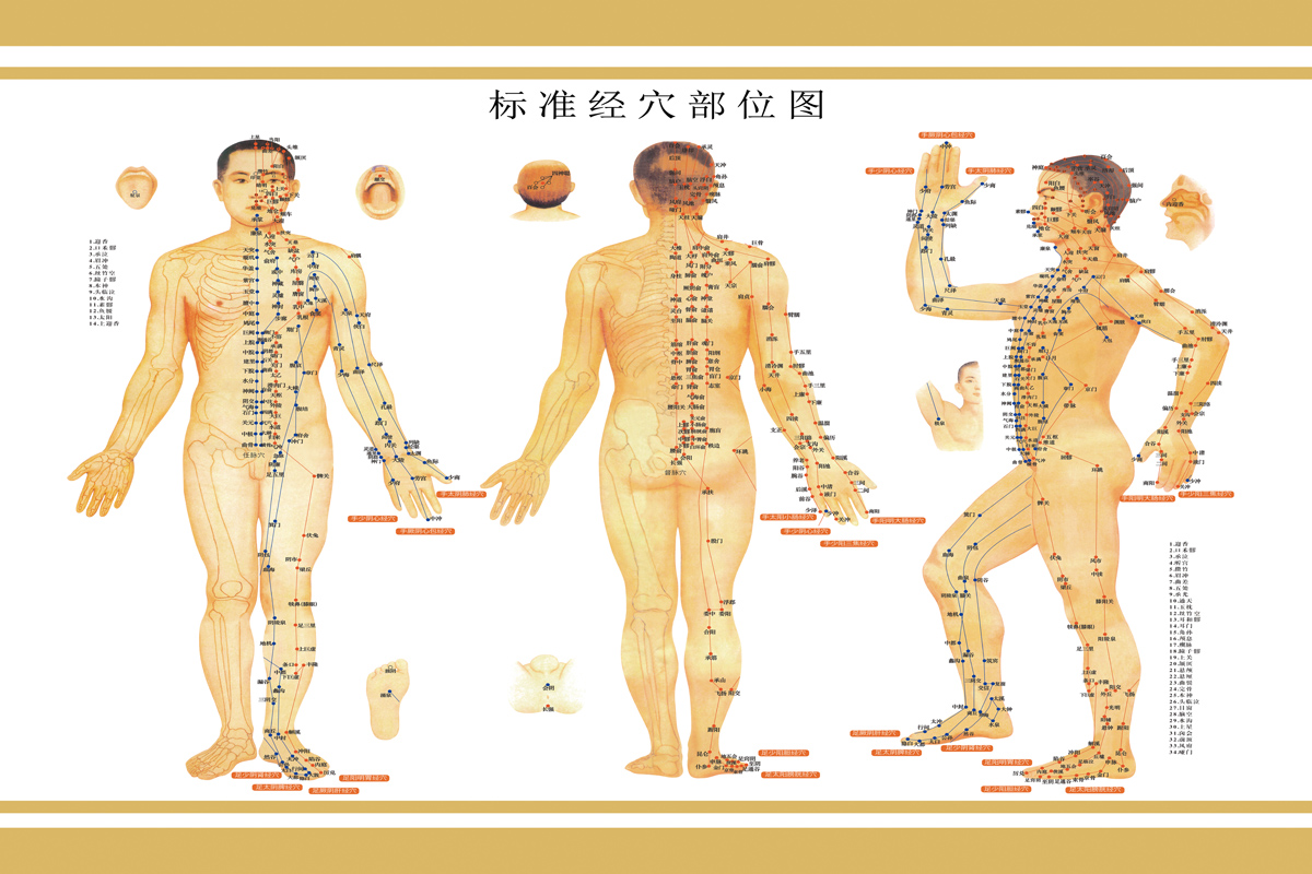 Abdominal Acupuncture Points Wall Chart