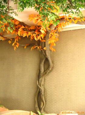 真桃花树玻璃钢真杆桃花树音乐餐吧绿化装饰缠绕藤条
