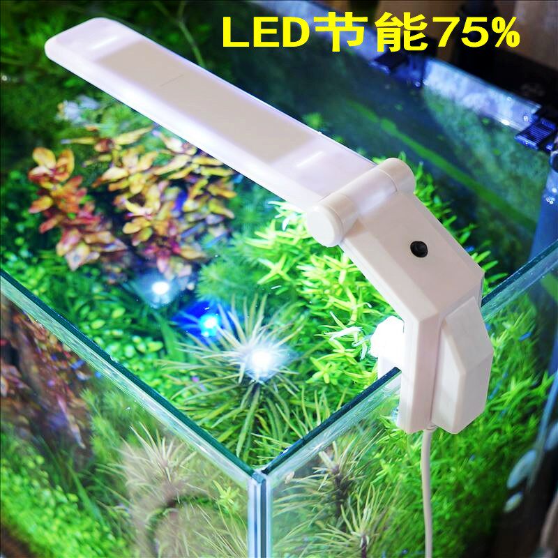 small aquarium with light