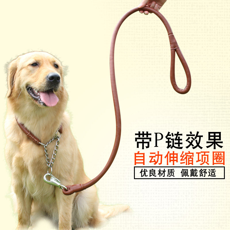 large dog chain
