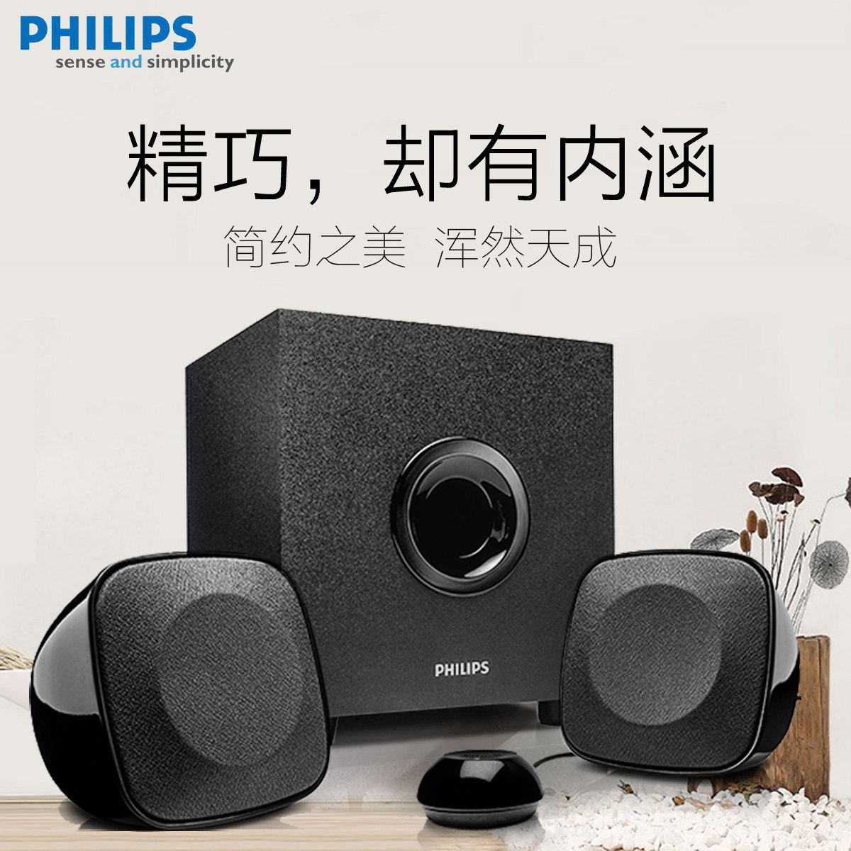 philips 2.1 laptop speakers