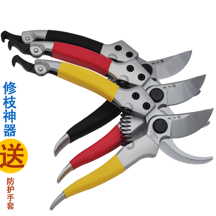 Buy Quality fruit tree pruning shears garden pruning tools