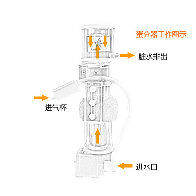 红海星迷你蛋分蛋白质分离器海水化氮器背滤鱼缸过滤器sq50/70/90-图0