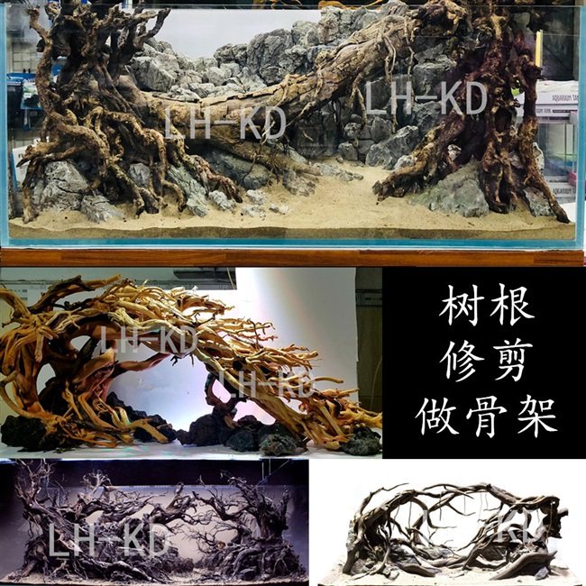 鱼缸树桩造景森林,示意图,木化石(第15页)_大山谷图库