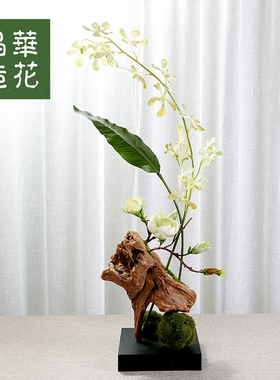 晶华原创树根仿真橱窗玄关