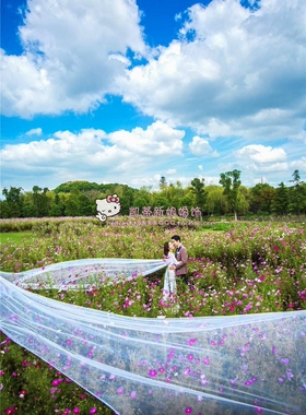 凯蒂婚饰 新娘结婚头纱外景摄影头纱海景飘逸抛沙红色白色十米长
