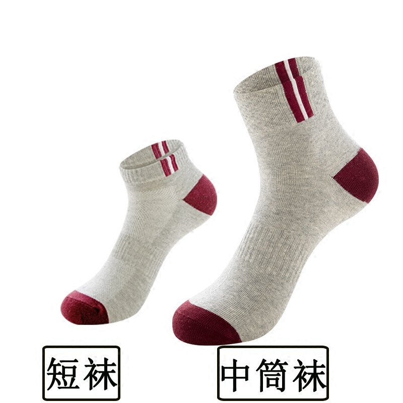 中筒秋冬季纯棉吸汗防臭中腰棉袜 炫朵莎短袜/打底袜/丝袜/美腿袜