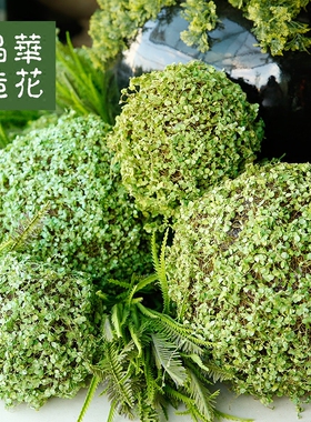 晶华仿真草皮苔草室内装饰