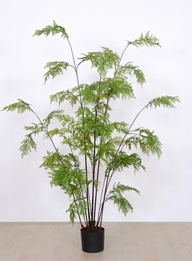 仿真室内假花落地蕨类北欧盆栽