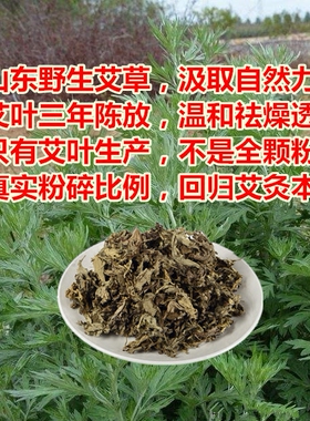 中国老张牌8:1宣纸粗纯艾条35*210真芯艾堂三年陈蕲艾柱家用批.发