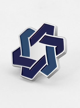 银色不锈钢徽章定制 烤漆填色LOGO标志企业公司员工胸章 胸针制作