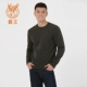 Lu Wang 17 mùa thu mới và mùa đông áo len cashmere tinh khiết nam cổ tròn hoang dã quần áo mỏng nam 110132470 - Áo len Cashmere