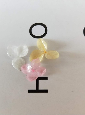 树脂树脂滴胶永生花小叶安娜绣球