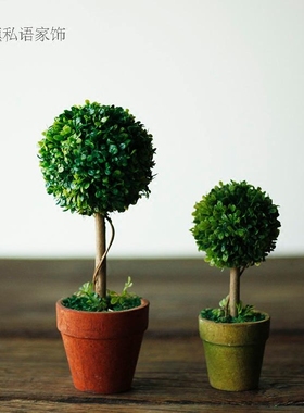 时尚风橱窗仿真绿植盆栽工艺品