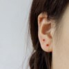Natural Liangshan Southern Red Agate Pure Silver Small Earrings