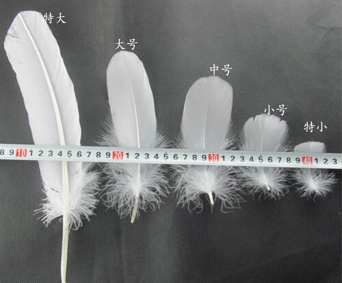 diy白色手工羽毛大小号各种款集合舞台婚庆饰品配件工艺装饰辅料 - 图2