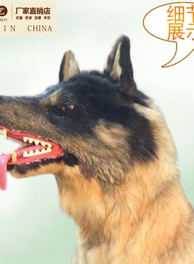 仿生展示招财特价直销模型