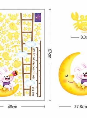 进口身高尺玻璃冰箱橱柜瓷砖贴